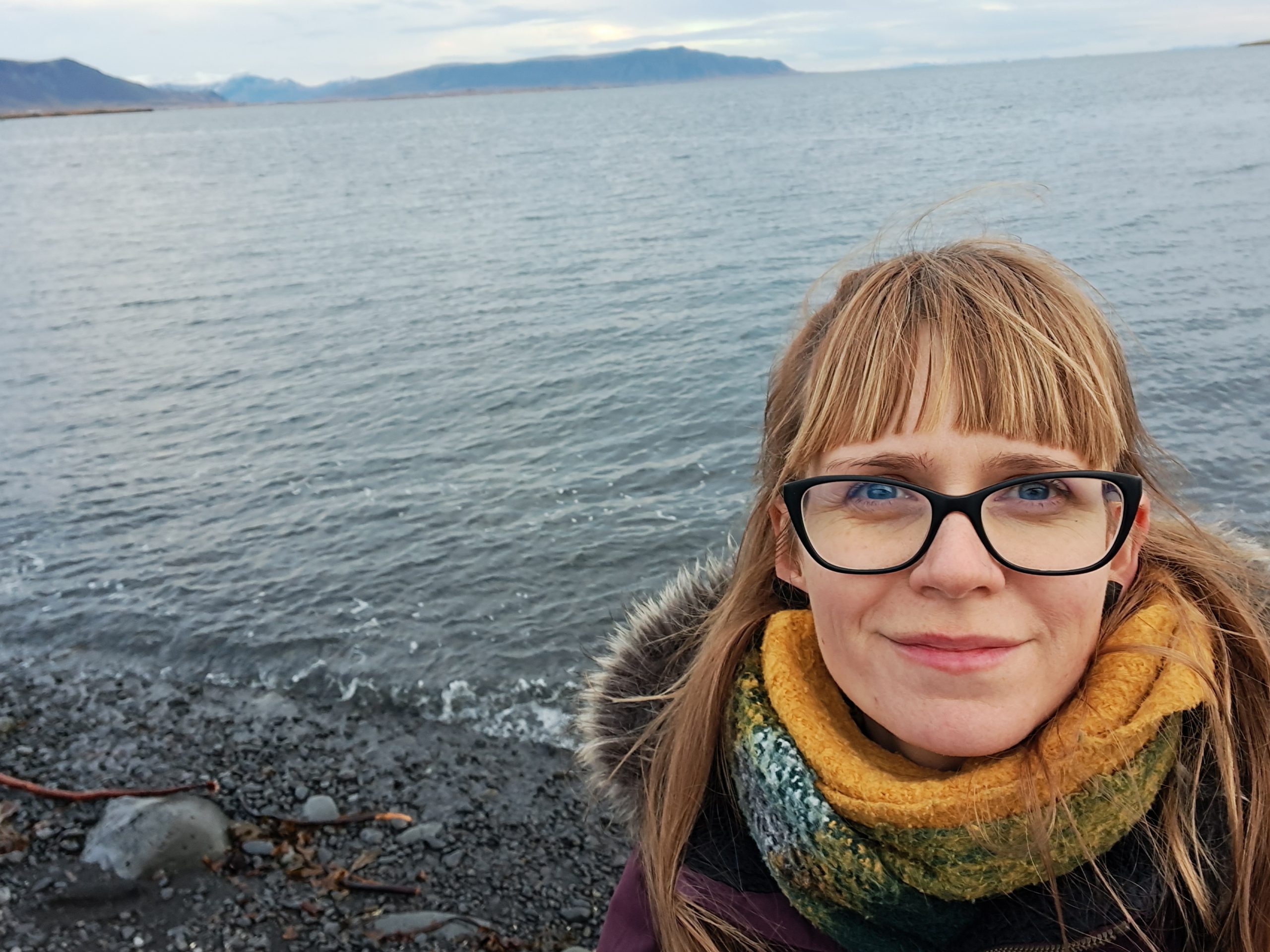 Read more about the article GAG kunstiõpetaja Nele Raat õpirändab Erasmus+ projektiga Islandil
